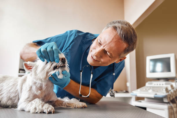Best Weekend Emergency Dentist in Dry Ridge, KY
