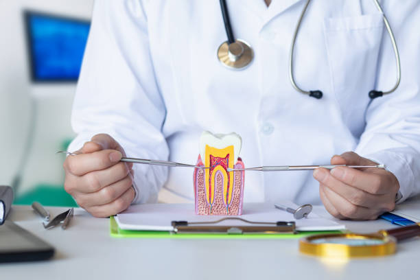 Best Emergency Broken Tooth Repair in Dry Ridge, KY